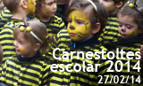 Carnestoltes escolar 2014