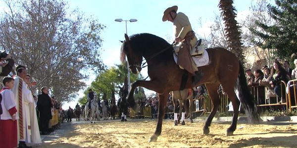 Festa de Sant Antoni