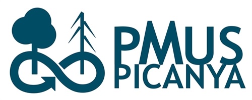 logo_pmus_picanya_900pxl logo_pmus_picanya_900pxl