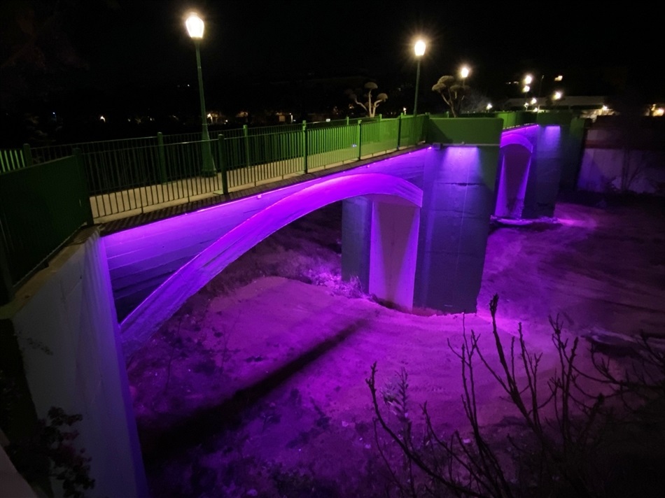 pont01