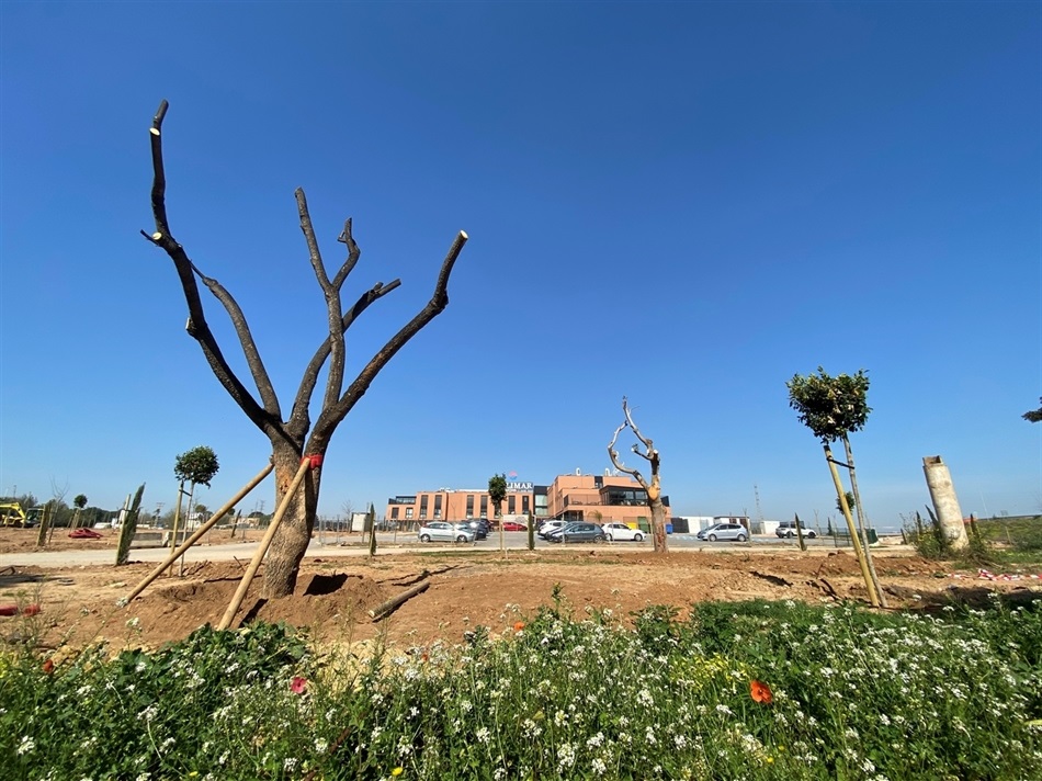 jardins_solimar_01