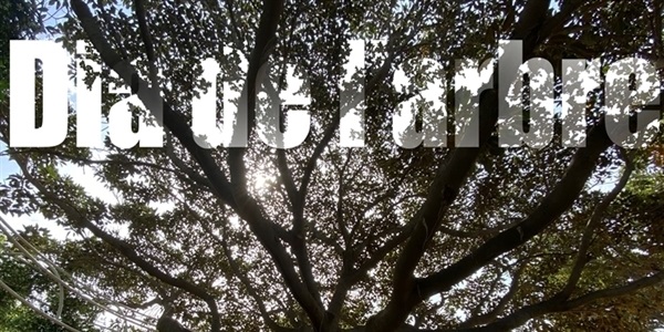 Celebració del dia de l'arbre